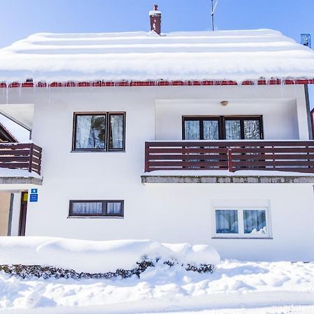 Apartman Japlenski Delnice Kültér fotó