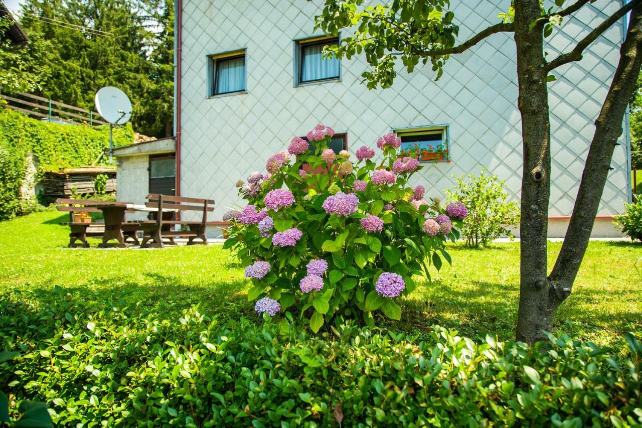 Apartman Japlenski Delnice Kültér fotó